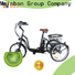 Wholesale electric bike models cool company for hunting