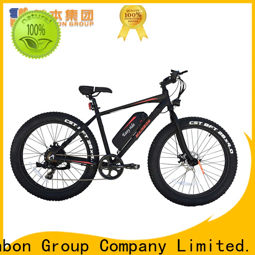 Mainbon top custom electric bicycle manufacturers for ladies