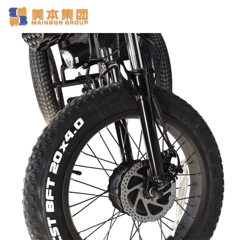 Custom tandem bike model for business for ladies-1
