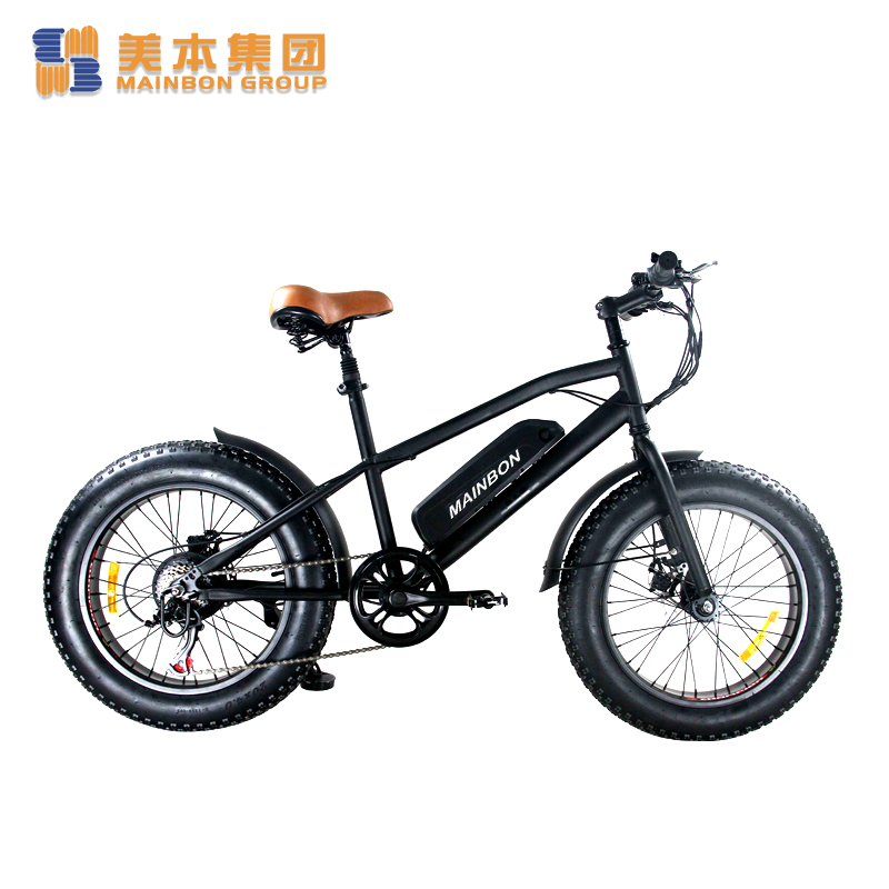 20 Inch Electric Bicycle Retailers Most Popular Fat Tire Snow Bike