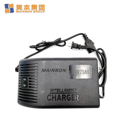Electric Tricycle Parts 48v Battery Charger for E Rickshaw