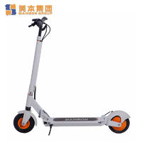 Custom Portable Motorised Electric Scooter for Adults