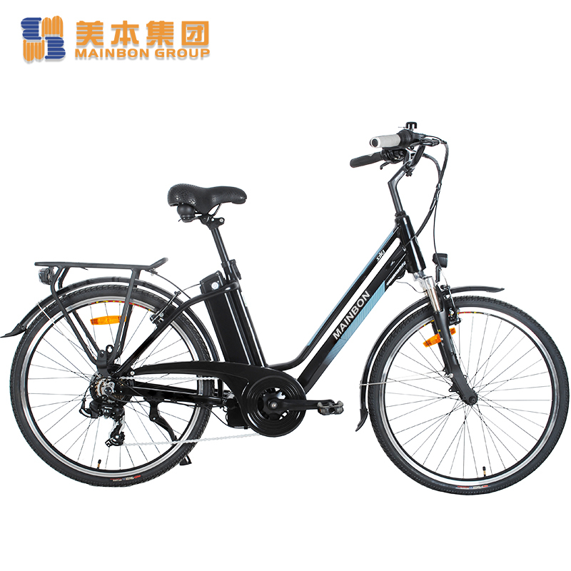 Customized Top 10 Electric Bicycles for Adults with Removable Lithium Battery