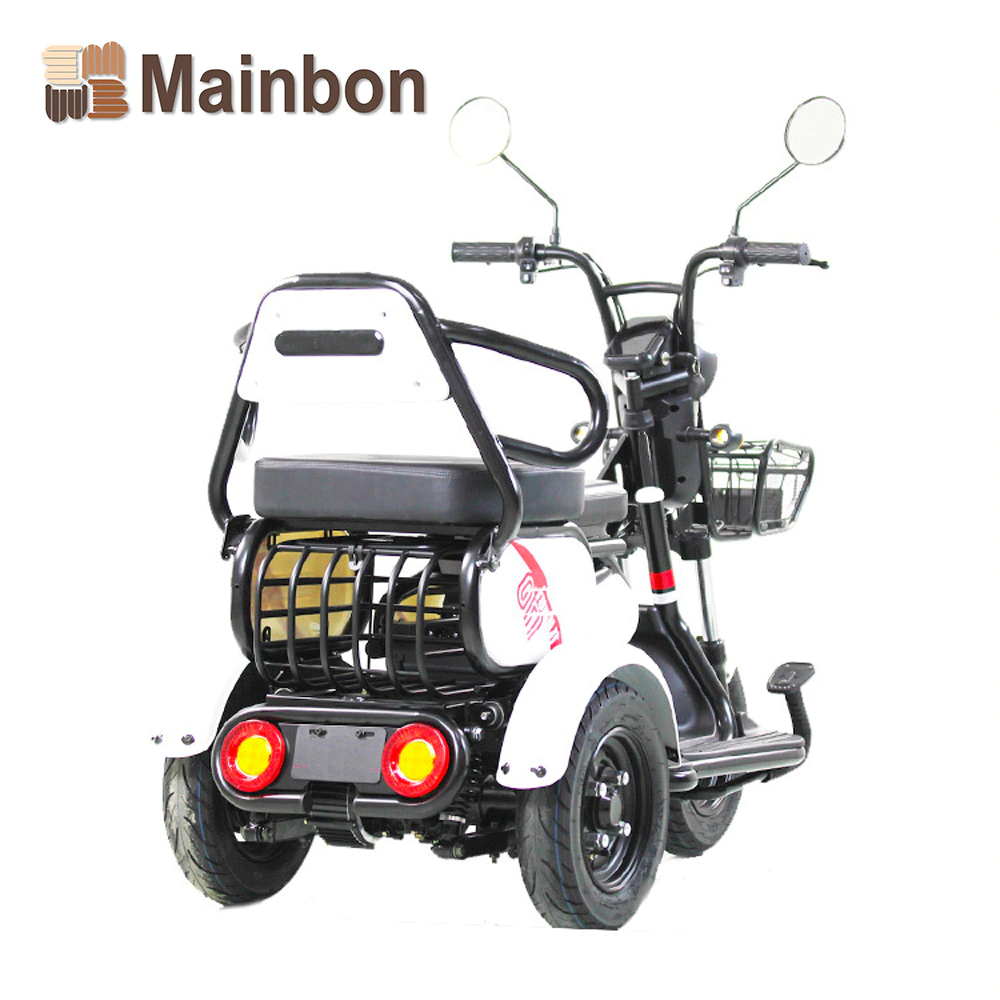 Powered Tricycle for Passenger Elderly People F1