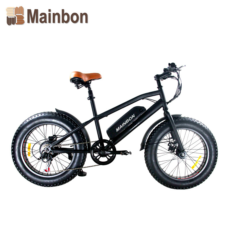 20 Inch Electric Bicycle Retailers Most Popular Fat Tire Snow Bike