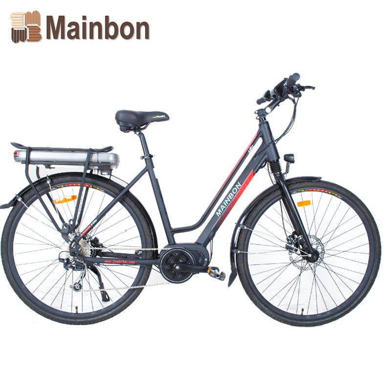 Custom Aluminum Alloy Lightweight Electric Bicycle Supplier