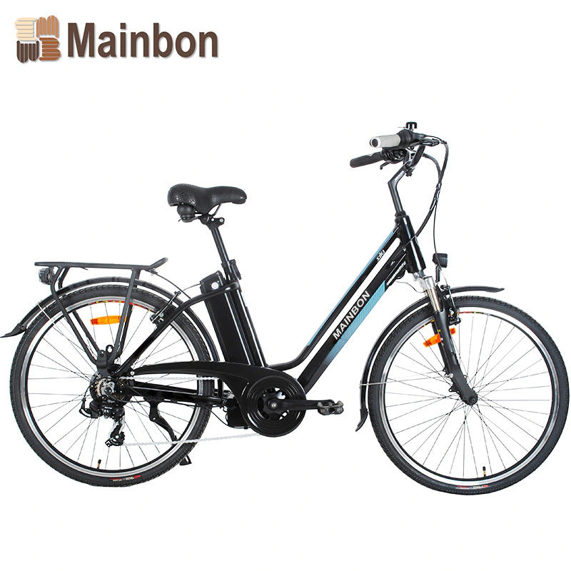 Customized Top 10 Electric Bicycles for Adults with Removable Lithium Battery